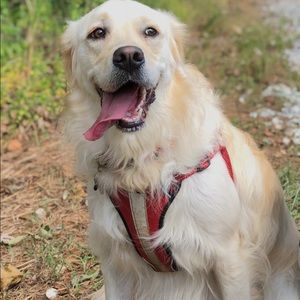 Meet your Posher, Michaela